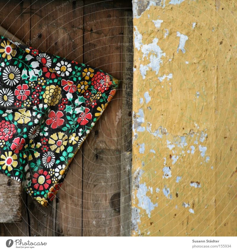 Verfall mit Stil und Blümchen Blume Tapete Haus Tür alt Altbau Wand orange tapezieren Beton Holz Maserung Stein Dresden verfallen Einsamkeit