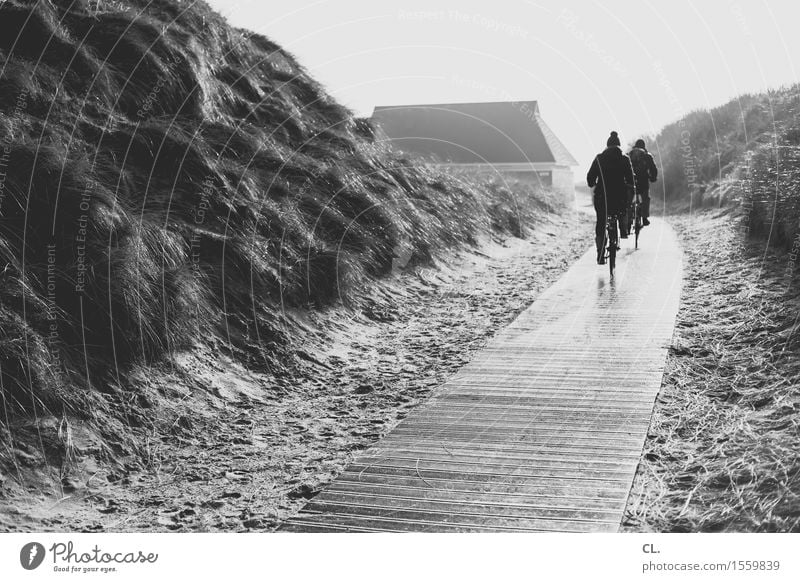 ausflug Ferien & Urlaub & Reisen Tourismus Ausflug Strand Mensch Erwachsene Leben 2 Umwelt Natur Landschaft Sand Himmel Nordsee Insel Düne Haus Verkehr