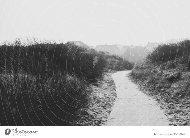 weg Ferien & Urlaub & Reisen Tourismus Umwelt Natur Landschaft Sand Himmel Schönes Wetter Sträucher Nordsee Düne Haus Wege & Pfade ruhig Ziel Schwarzweißfoto