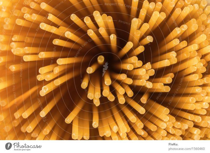 Hyperspace-Spaghetti *500* Lebensmittel Getreide Teigwaren Backwaren Ernährung Mittagessen Bioprodukte Vegetarische Ernährung Diät Italienische Küche Kultur