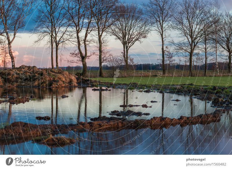 Pfütze Natur Pflanze Wasser Himmel Wolken Schönes Wetter Baum Feld Flüssigkeit natürlich blau braun grün Zufriedenheit Sehnsucht Misthaufen Reihe Leben