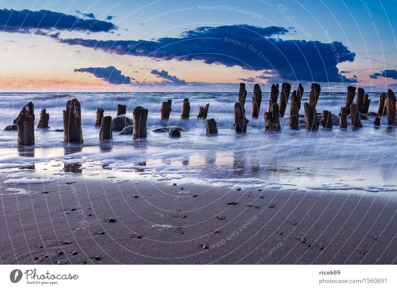 Buhne an der Küste der Ostsee Erholung Ferien & Urlaub & Reisen Tourismus Sonne Strand Meer Natur Landschaft Wasser Wolken alt Romantik Idylle Himmel