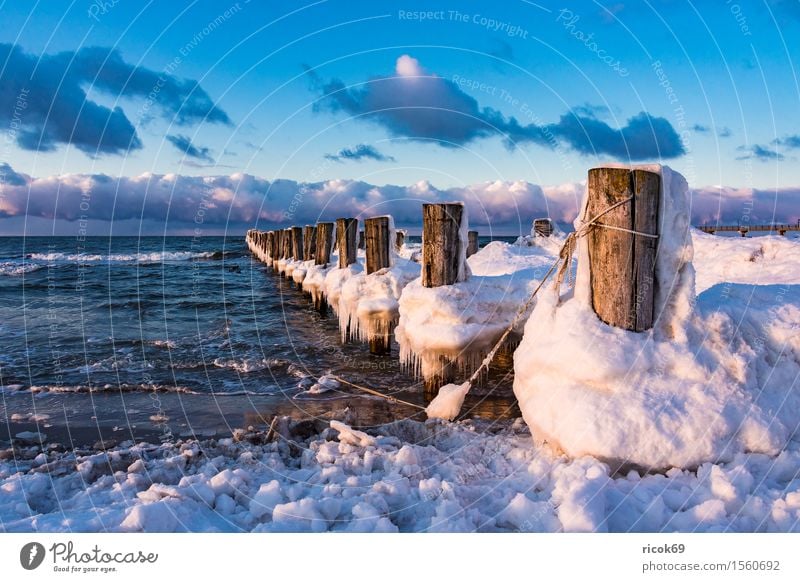 Buhne an der Ostseeküste bei Zingst Erholung Ferien & Urlaub & Reisen Tourismus Strand Meer Winter Natur Landschaft Wasser Wolken Küste Holz kalt Romantik