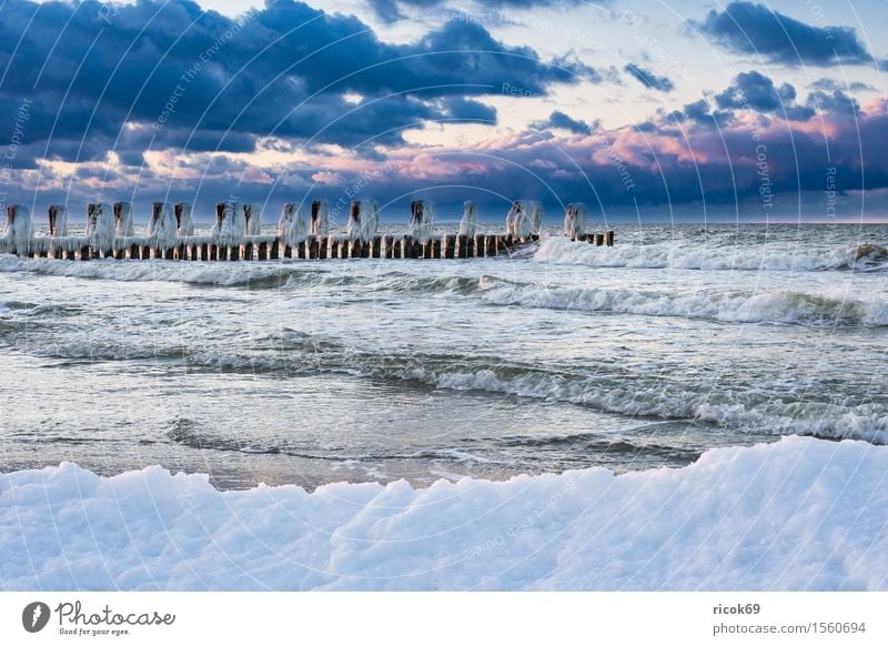 Buhne an der Ostseeküste bei Zingst Erholung Ferien & Urlaub & Reisen Tourismus Strand Meer Winter Natur Landschaft Wasser Wolken Küste Holz kalt Romantik