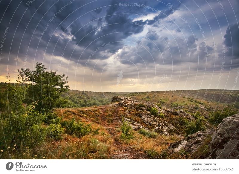 Regen und Sturmhimmel. Frühlingswolken und Regen schön Natur Landschaft Himmel Wolken Wetter Unwetter Baum Gras Sträucher Wiese Hügel dunkel grün Mai Feld