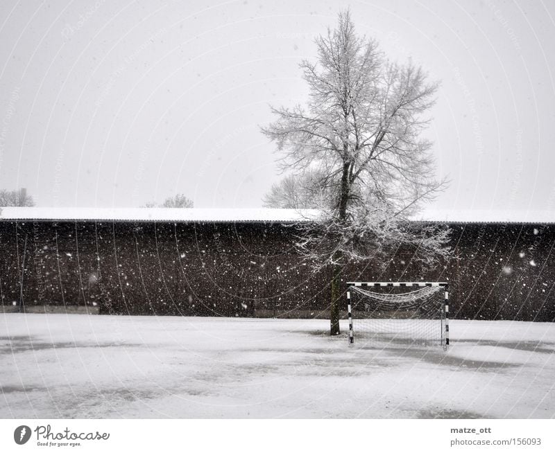 ... ein Wintermärchen TEIL 1 Handball Fußball Winterpause Tor Weltmeisterschaft Schnee Schneefall Wetter Kroatien Rasen Sportrasen kalt Baum Scheune