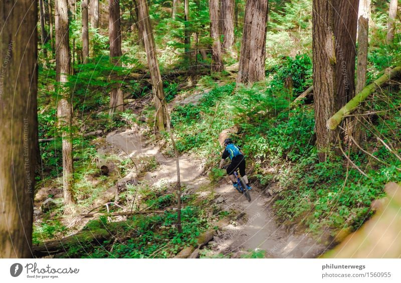 Schlumpf? Freizeit & Hobby Fahrradfahren Umwelt Natur Landschaft Sonne Klima Schönes Wetter Pflanze Baum Wald Urwald Berge u. Gebirge ästhetisch Abenteuer