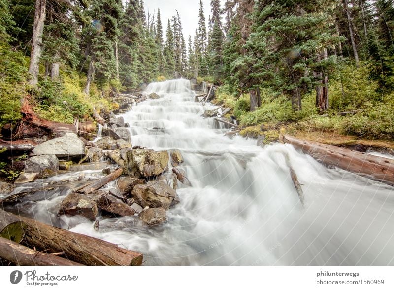 Schnelles Wasser- nasse Füße Umwelt Natur Landschaft Wolken Klima Nebel Regen Baum Wald Hügel Alpen Berge u. Gebirge Bach Fluss Wasserfall Abenteuer anstrengen