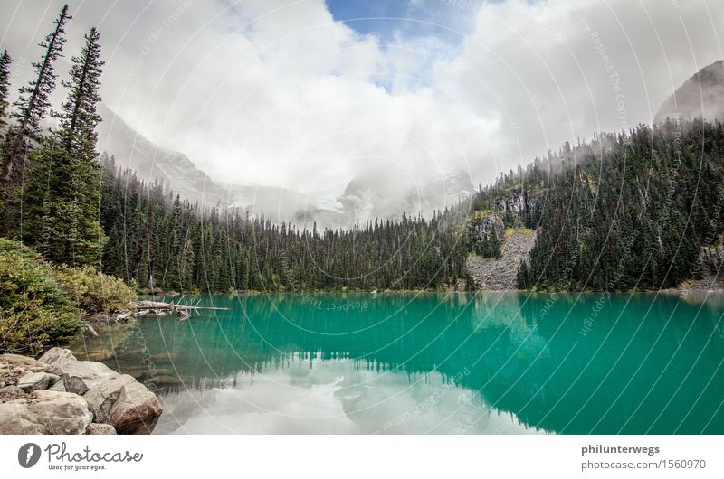 Gletschersee? früher vielleicht wandern Umwelt Natur Landschaft Klima Klimawandel Schönes Wetter Schneefall Baum Hügel Felsen Alpen Berge u. Gebirge Gipfel