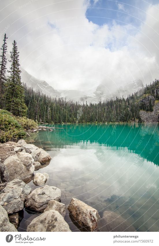 Swansee Umwelt Natur Landschaft Urelemente Wasser Himmel Wolken Schönes Wetter Schnee Baum Wald Hügel Felsen Alpen Berge u. Gebirge Gipfel Schneebedeckte Gipfel