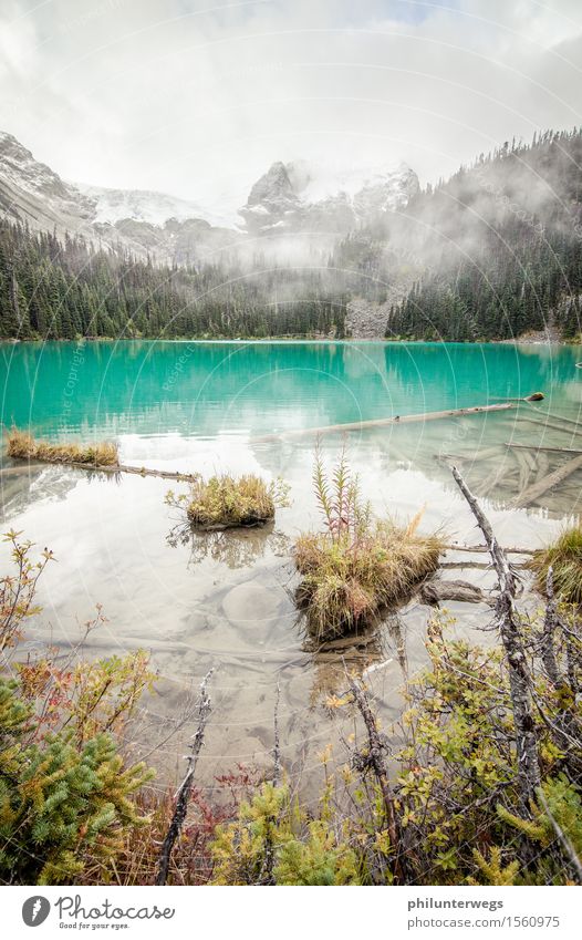 Atlantis ist kleiner als gedacht Natur Landschaft Wolken schlechtes Wetter Pflanze Baum Gras Hügel Felsen Alpen Berge u. Gebirge Gipfel Schneebedeckte Gipfel