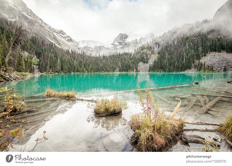 Lagune aufm Berg Umwelt Natur Landschaft Pflanze Wolken Schönes Wetter Schneefall Berge u. Gebirge Gipfel Schneebedeckte Gipfel Gletscher Küste Bucht Teich See