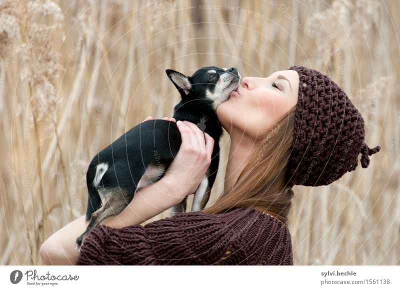 True Love Stil Wohlgefühl Mensch feminin Junge Frau Jugendliche Leben 18-30 Jahre Erwachsene Natur Pflanze Gras Feld Mode Mütze langhaarig Tier Haustier Hund