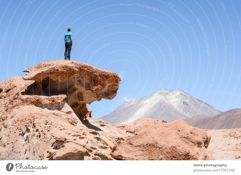 Marslandschaft Ferien & Urlaub & Reisen Ausflug Abenteuer Ferne Freiheit wandern 1 Mensch Natur Landschaft Urelemente Felsen Gipfel Vulkan Ollagüe