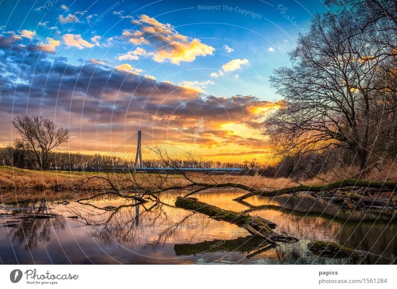 Winter sunset at the lake near Magdeburg Natur Landschaft Pflanze Wasser Himmel Wolken Sonne Sonnenaufgang Sonnenuntergang Wetter Schönes Wetter Baum Gras