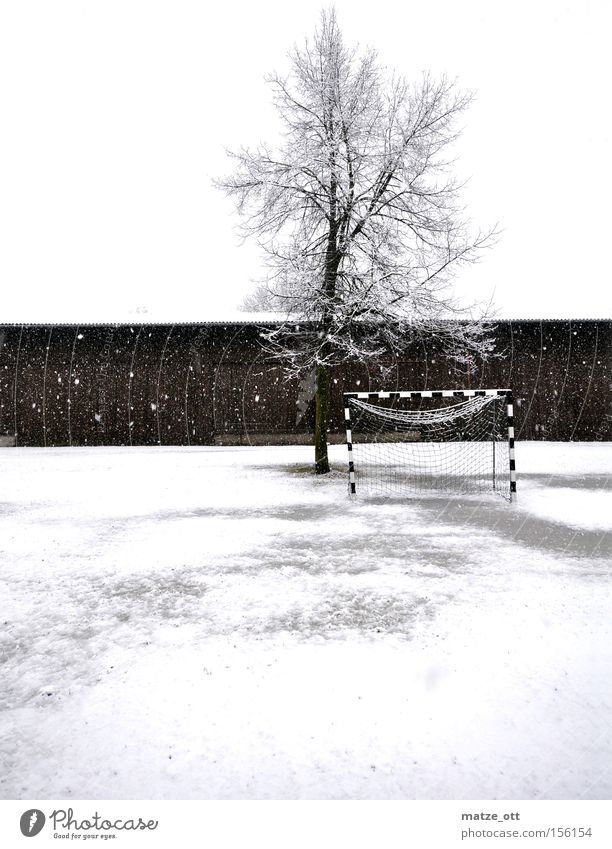 ... ein Wintermärchen TEIL 2 Handball Fußball Winterpause Tor Weltmeisterschaft Schnee Schneefall Wetter Kroatien Rasen Sportrasen kalt Baum Scheune Spielen