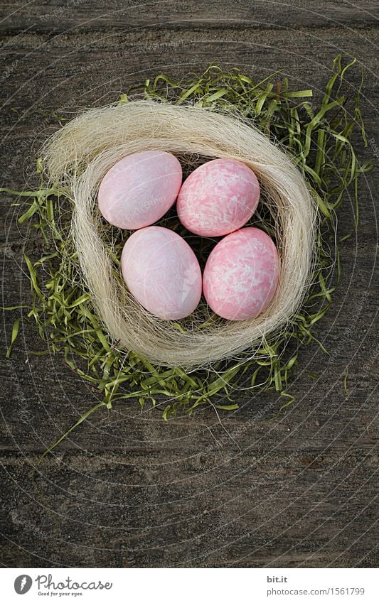 künstlich | nicht vom Huhn Ostern Kreativität Tradition Osterei Osternest Osterhase Ostermontag Nest Holz Farbe Außenaufnahme Menschenleer Textfreiraum unten