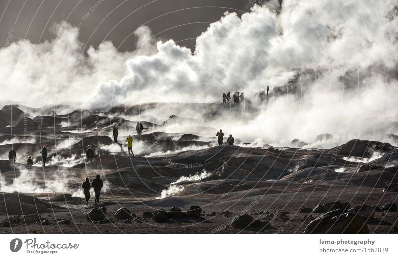 Es brodelt... Tourismus Ausflug Abenteuer Sightseeing Mensch Natur Landschaft Urelemente Erde Vulkan El Tatio Geysir Geysirbecken Fumarole Solfatarenfeld