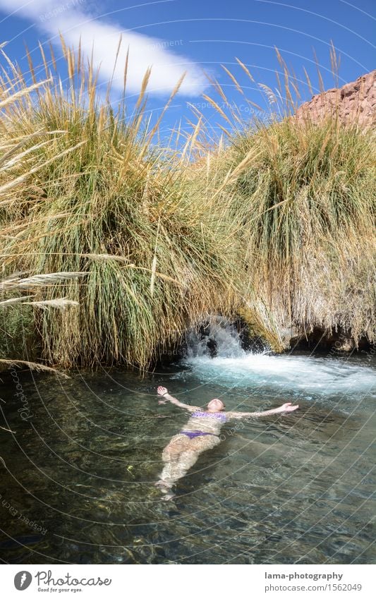 Floating Wellness Leben Wohlgefühl Sinnesorgane Erholung Schwimmbad Whirlpool Ferien & Urlaub & Reisen Junge Frau Jugendliche Wasser Schilfrohr Oase