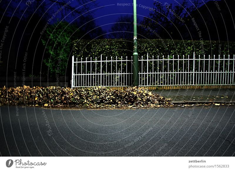 Zaun am Abend Metall Hecke Grundstück Nachbar Grenze Besitz Straße Asphalt Herbst Blatt Herbstlaub Laubbaum Haufen Sauberkeit Kehren Hausmeister