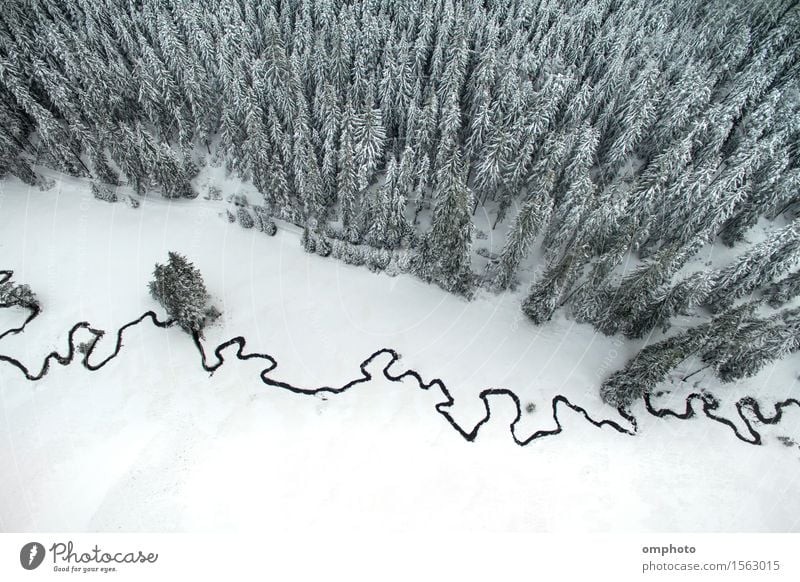 Winterlandschaft mit hohen Kiefern und einem kleinen mäandrierenden Bach schön Schnee Berge u. Gebirge Umwelt Natur Landschaft Baum Park Wald Fluss Hubschrauber