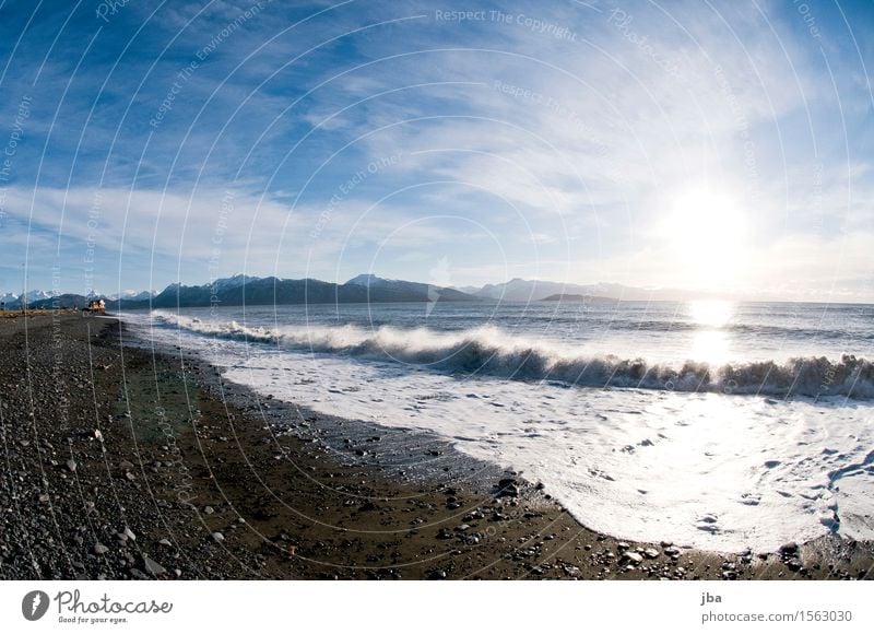 Wellen im Gegenlicht- Alaska 32 Leben Wohlgefühl Ferien & Urlaub & Reisen Ausflug Ferne Freiheit Strand Meer Natur Landschaft Urelemente Luft Wasser Sonne