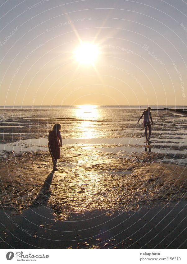 Abendstimmung im Watt Nordsee Wattenmeer Sonnenuntergang Abenddämmerung Freiheit Erholung Ebbe Sommer Meer ruhig Ferien & Urlaub & Reisen Außenaufnahme