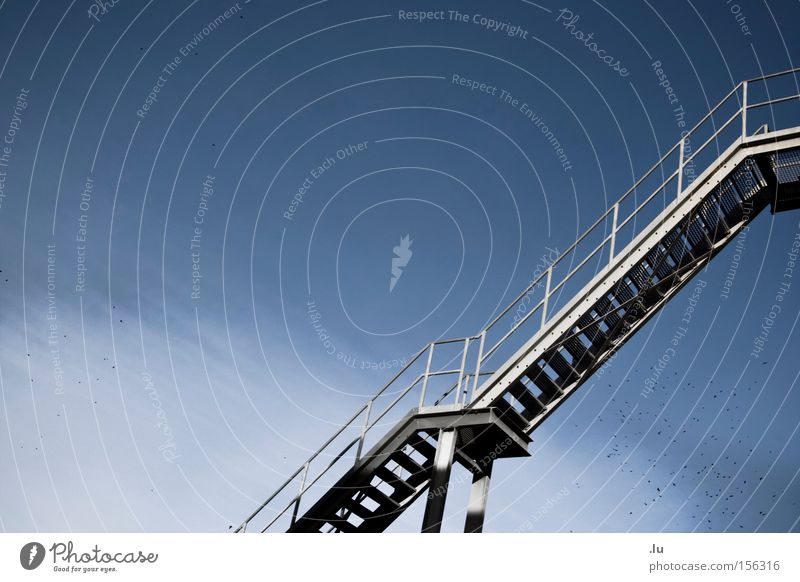 Über den Wolken einrichten Freiheit aufsteigen Himmel Richtung Vogelschwarm Ziel Unendlichkeit laufen Leiter über den Wolken Brücke obskur Sinn Treppe