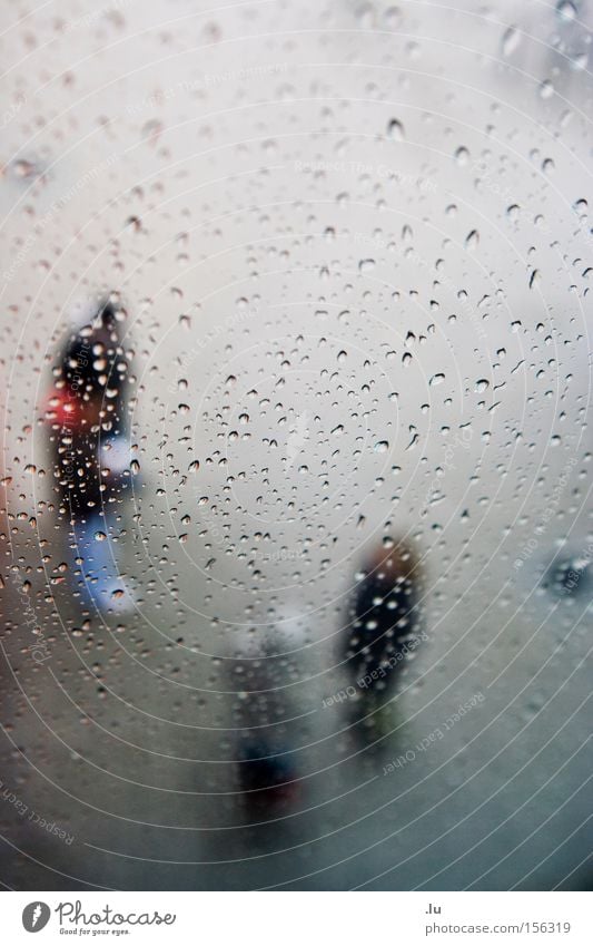 Outstanding Menschengruppe sprechen Kommunizieren nass Regen Wassertropfen feucht frieren ungemütlich Außenaufnahme