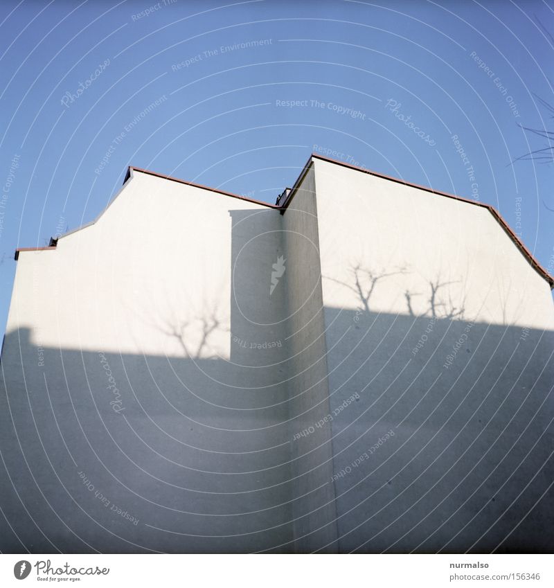 Strukturwandel Haus Wand Schatten Baum Ast Brandschutz Himmel Ecke Miete Stadthaus Ende Linie Potsdam Bahnhof Winter Treppenabsatz Vorsprung