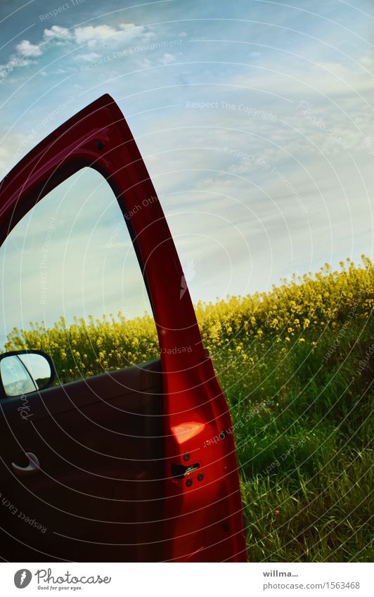 Offene rote Autotür am Rapsfeld offen Frühling Rückspiegel Rapsblüte Nutzpflanze Frühlingstag Ausflug Natur