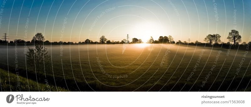 Sonnenaufgang Natur Landschaft Wolkenloser Himmel Sonnenuntergang Frühling Schönes Wetter Nebel Wiese ästhetisch Fröhlichkeit frisch Unendlichkeit Wärme blau