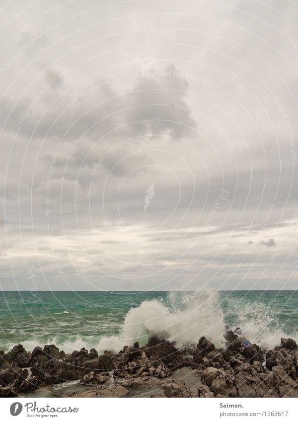 Wellenbrecherei Urelemente Luft Wasser Himmel Wolken Sommer Küste Meer Kraft Macht Stein Wellenbruch bedrohlich Wasserspritzer Felsen Farbfoto Gedeckte Farben