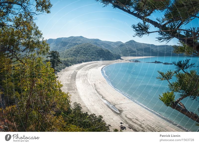 Queensland schön Erholung Ferien & Urlaub & Reisen Ausflug Abenteuer Sommer Strand Meer Insel Natur Landschaft Urelemente Erde Sand Himmel Klima Klimawandel