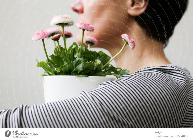 Fintis Blumentopf. Lifestyle Stil Dekoration & Verzierung Frau Erwachsene Leben Kopf Arme Oberkörper 1 Mensch Frühling Topfpflanze Frühlingsblume Blumenstrauß