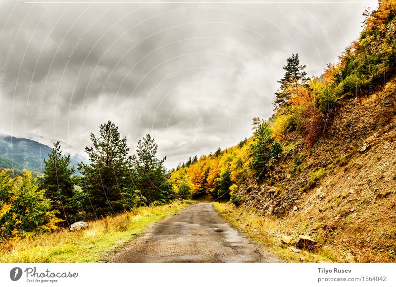 Herbst in den Pyrenäen schön Ferien & Urlaub & Reisen Berge u. Gebirge Umwelt Natur Landschaft Pflanze Himmel Wolken Baum Gras Blatt Wald Hügel Platz