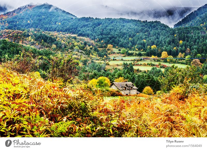 Herbst in den Pyrenäen schön Ferien & Urlaub & Reisen Berge u. Gebirge Umwelt Natur Landschaft Pflanze Himmel Wolken Baum Gras Blatt Wald Platz Wege & Pfade