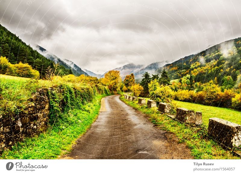 Herbst in den Pyrenäen schön Ferien & Urlaub & Reisen Berge u. Gebirge Umwelt Natur Landschaft Pflanze Himmel Wolken Baum Gras Blatt Park Wald Hügel Platz