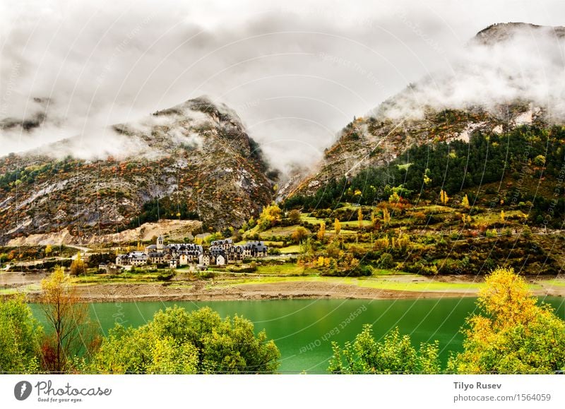 Herbst in den Pyrenäen schön Ferien & Urlaub & Reisen Berge u. Gebirge Umwelt Natur Landschaft Pflanze Baum Gras Blatt Park Wald Wege & Pfade frisch natürlich