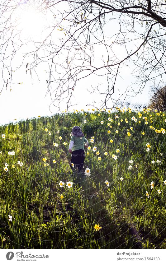 Auf kleinen Schritten dem Frühling entgegen Ferien & Urlaub & Reisen Tourismus Ausflug Abenteuer Ferne Freiheit Sightseeing Berge u. Gebirge wandern Umwelt