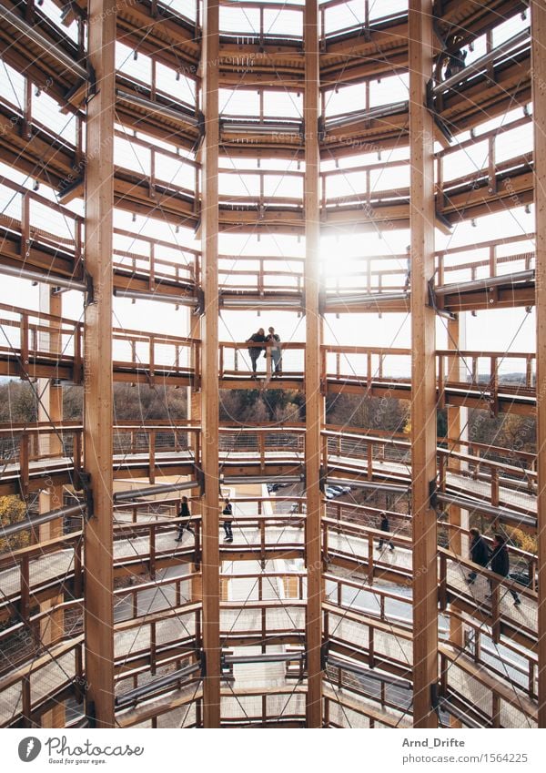 Turm Ausflug Abenteuer Sightseeing Mensch Frau Erwachsene Himmel Sonne Schönes Wetter Wald Bauwerk Gebäude Architektur Sehenswürdigkeit panarbora stehen eckig