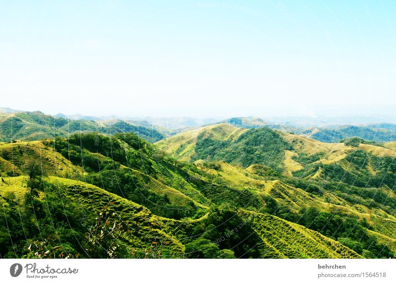 auf neuen wegen Ferien & Urlaub & Reisen Tourismus Ausflug Abenteuer Ferne Freiheit Natur Landschaft Pflanze Himmel Wolkenloser Himmel Schönes Wetter Baum Gras