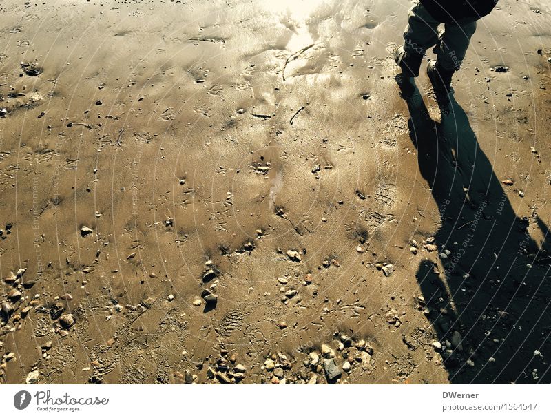 am Rhein Freizeit & Hobby Spielen Ausflug Freiheit Strand Meer Mensch Kind Kleinkind 1 Umwelt Natur Urelemente Sand Wasser Fußspur Bewegung Fitness glänzend