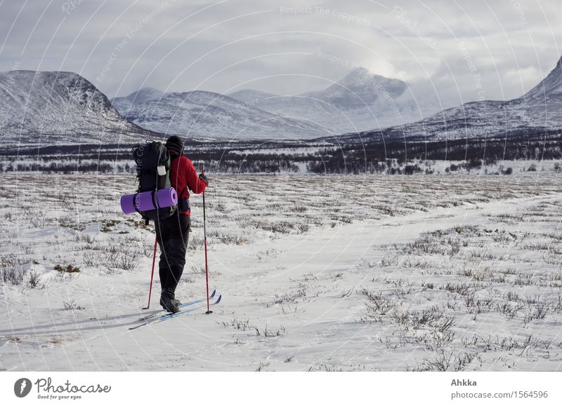 Rondane VI Schnee Winterurlaub Wintersport Skifahren Junger Mann Jugendliche 1 Mensch Landschaft Berge u. Gebirge Schneebedeckte Gipfel Wege & Pfade Rucksack