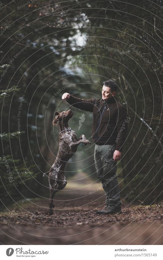 Mann mit Hund im Wald Ausflug Mensch maskulin Junger Mann Jugendliche Freundschaft Leben 1 30-45 Jahre Erwachsene Umwelt Natur Park Wege & Pfade Hose Pullover