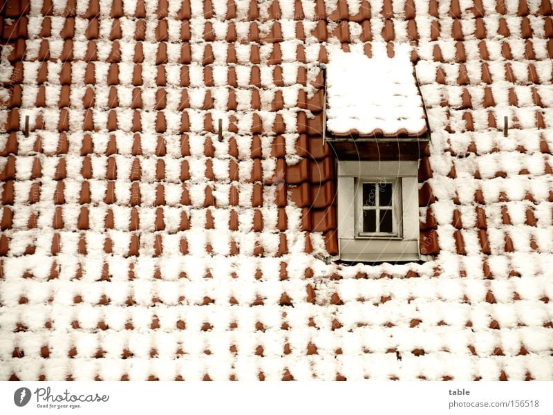 Dachfenster Fenster Winter Dachziegel Dachgaube alt Dorf rot weiß kalt Handwerk historisch Schnee verrückt Fensterscheibe Glas Einsamkeit