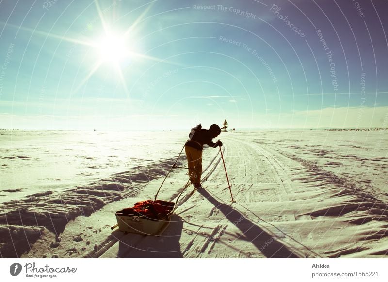 På tur i vinterferien sportlich Abenteuer Freiheit Schnee Winterurlaub Wintersport Skifahren Mensch Junge Frau Jugendliche 1 Wolkenloser Himmel Sonne