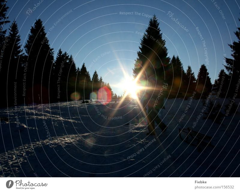 Der Sonne entgegen Winter Schnee Wald Baum Eis Frost Flocke Himmel Harz Rodelbahn Rodeln Schlitten Spuren Tag Freude Natur Sonnenstrahlen Beleuchtung Landschaft