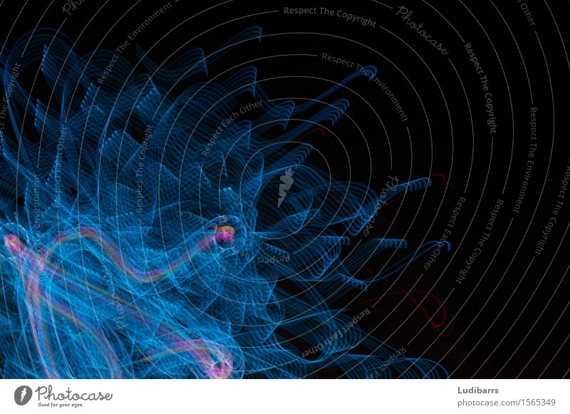 Abstrakte blaue und rosa fließende Lichter Freude außergewöhnlich hell schwarz Farbe Kräusel Beleuchtung Konsistenz abstrakt mehrfarbig Muster