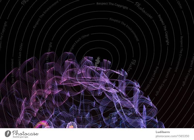 Abstrakte purpurrote und blaue flüssige Lichter Freude außergewöhnlich Glück hell schwarz Farbe Farbintensität Kräusel Beleuchtung Bewegung mystisch
